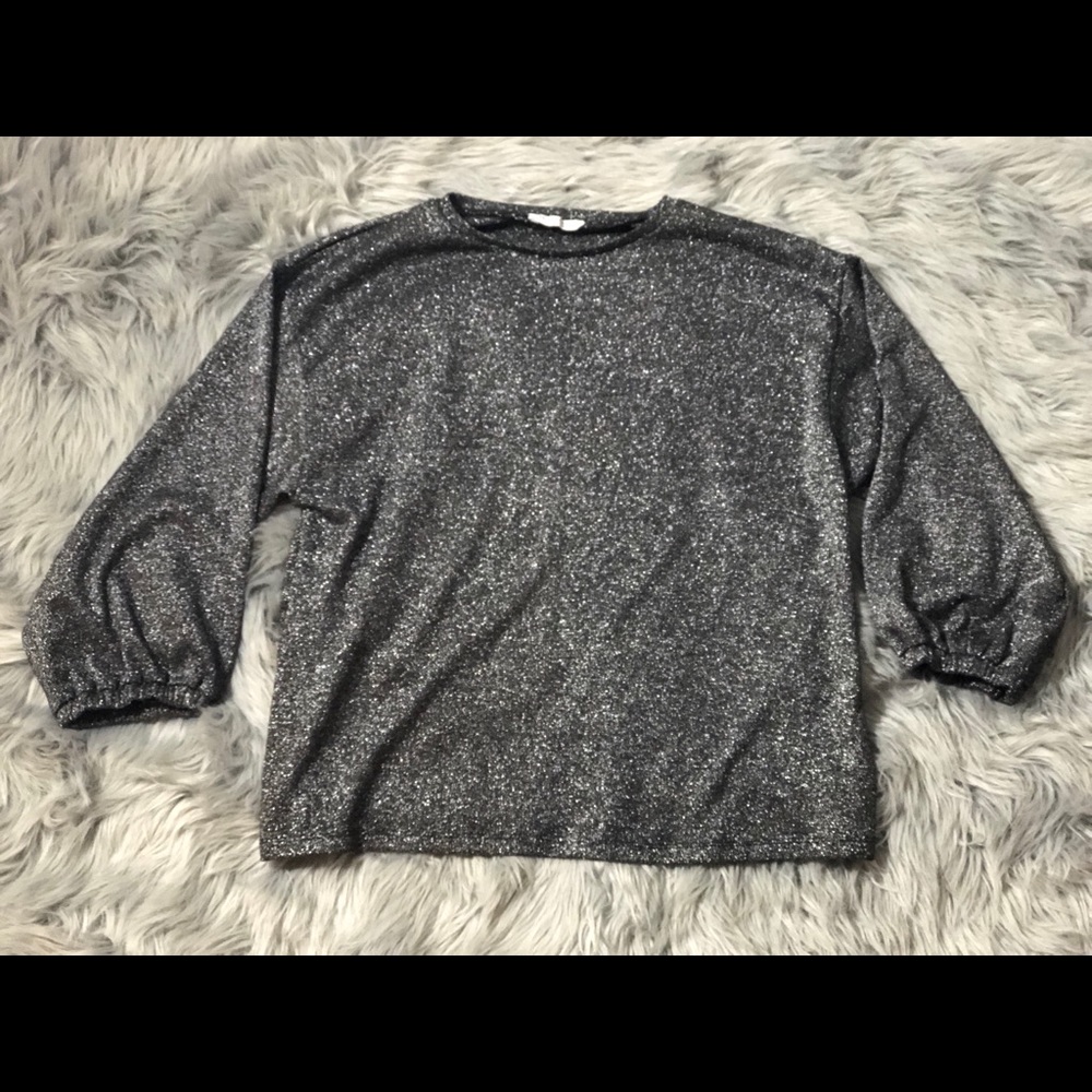 Zara Trafaluc Shimmery Metallic Top